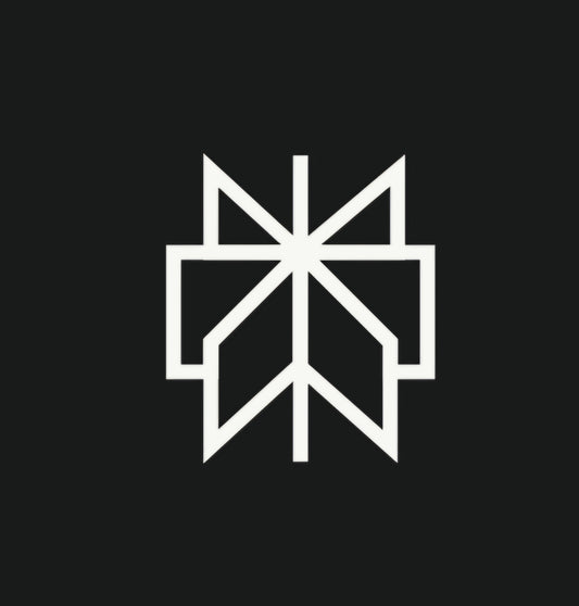 Perplexity Pro